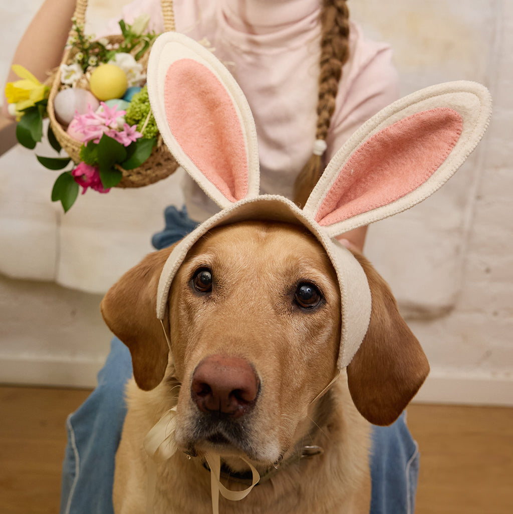 Vintage-Style Bunny Ears Headband