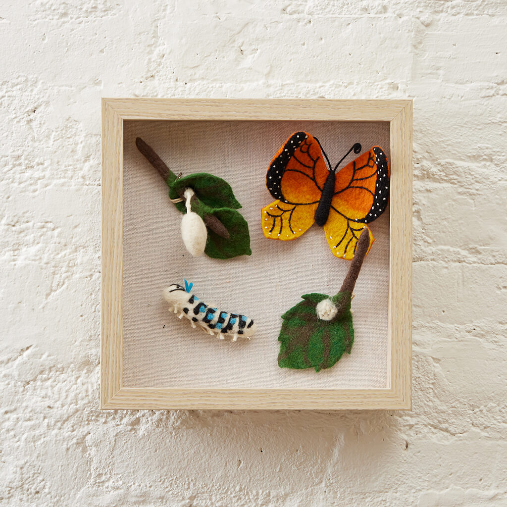 Monarch butterfly life cycle shadow box with hand-felted wool stages – educational wall decor