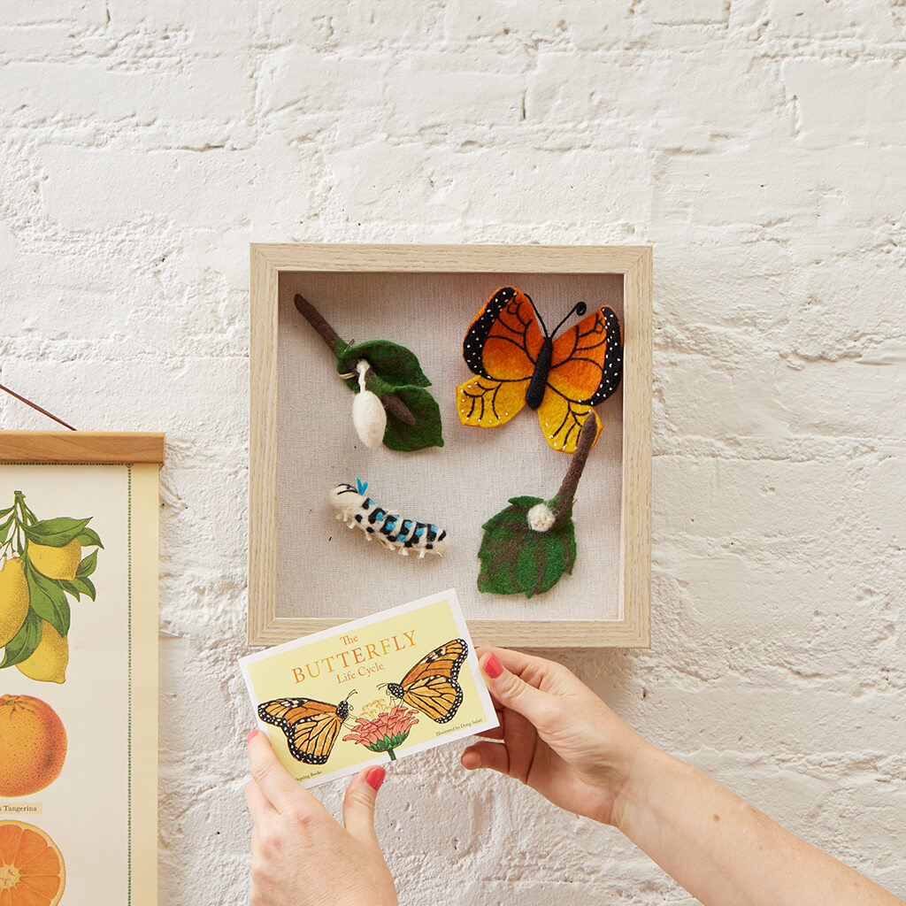 Needle-felted monarch butterfly life cycle set in 9-inch fabric shadow box – educational gift