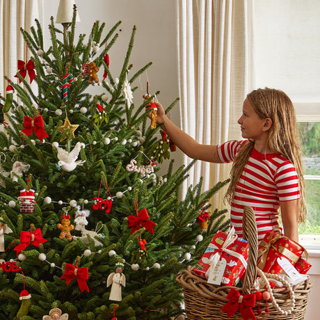 Traditional Christmas