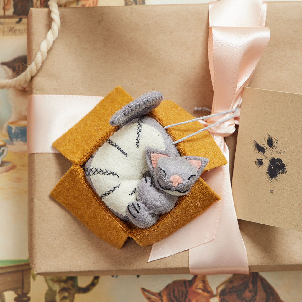 Cat in a Box Ornament