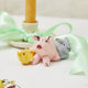 Bundle: Spring on the Farm Ornaments - Set of 4