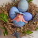 Pink Hatchling in Blue Shell Ornament