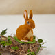 Brown Sitting Spring Bunny Ornament