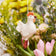 Cute wool chicken ornament – handmade springtime decoration for Easter trees or gift baskets