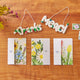Floral Garden Assorted Greeting Cards - Set of 4