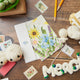 Floral Garden Assorted Greeting Cards - Set of 4