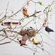Red-tailed Hawk Ornament