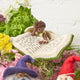 Handmade felt ornament of a fairy with delicate wings and a leafy green tunic, reading an oversized open book embroidered with whimsical details. Crafted from merino-blended wool, this limited-edition ornament is full of storybook charm. Perfect for fairy collectors, book lovers, and dreamers, it brings a magical, literary touch to bookshelves, holiday trees, or cozy reading spaces. Ready to hang with a string attached.