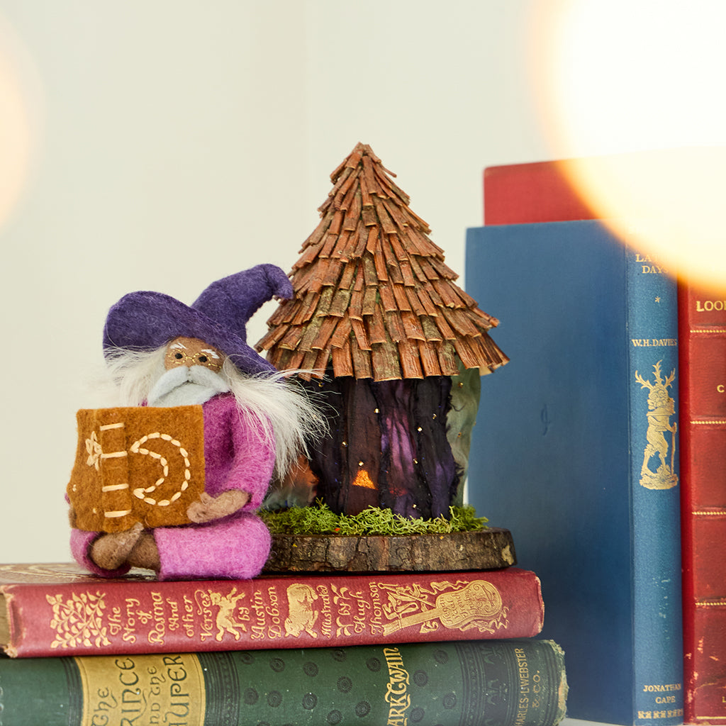 Reading Wizard Ornament