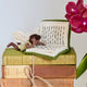Handmade felt ornament of a fairy with delicate wings and a leafy green tunic, reading an oversized open book embroidered with whimsical details. Crafted from merino-blended wool, this limited-edition ornament is full of storybook charm. Perfect for fairy collectors, book lovers, and dreamers, it brings a magical, literary touch to bookshelves, holiday trees, or cozy reading spaces. Ready to hang with a string attached.