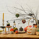 Mini Pumpkin Basket