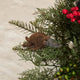 Platypus Ornament