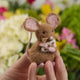Mouse With Cheese Ornament