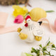 Mama Clucky The Hen with Chicks Ornament