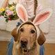 Vintage-Style Bunny Ears Headband