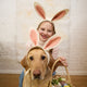 Vintage-Style Bunny Ears Headband