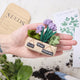 Hand-felted herb garden ornament with potted basil, rosemary, and thyme—handmade gift for gardeners and plant lovers, in someone's hand