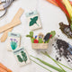 Vintage-style felt seed packet decorations for holiday trees or kitchen gifts