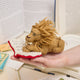 Handmade felt ornament of a wise lion wearing tiny felt glasses, absorbed in a large red book. Crafted from natural wool, this charming lion adds a storybook touch to holiday trees, reading nooks, or cozy corners. A delightful gift for readers, teachers, librarians, or anyone who loves books and imagination. Each ornament is unique, crafted with care using traditional felting techniques.