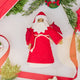 Snowy Garden Father Christmas Ornament - Brown