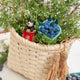 Craftspring’s handmade felt Adirondack Basket with Black Bear Cub and Blueberry Pint ornaments — a black bear cub in a cozy basket and a pint of blueberries, displayed in a handwoven basket with juniper for a festive holiday scene, perfect for Christmas decorating or gifting, ethically crafted by artisans using sustainable wool.