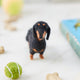 Craftspring’s needle-felted Dachshund Ornament with short legs and a cute face, displayed among dog treats and toys — a playful and charming holiday decoration, perfect for gifting, ethically crafted by artisans using sustainable wool.