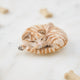 Craftspring’s needle-felted Sleepy Orange Cat Ornament, a striped tabby with whiskers and a cute face, displayed among pet treats — a playful and charming holiday decoration, perfect for gifting, ethically crafted by artisans using sustainable wool.