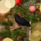 Craftspring’s Crow Ornament displayed on a Christmas tree — felt ornament of a crow perched on a branch with intricate beaded wings, perfect for Halloween, harvest, and holiday gifting, ethically crafted by artisans using sustainable wool.