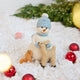 Snowman with Friends Ornament