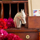 Horse Head Ornament - Pewter