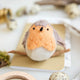 European Robin Ornament