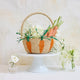 Basket with Carrots