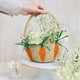 Basket with Carrots