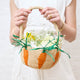 Basket with Carrots