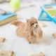 Small in size but big in personality, our alpaca Pomeranian Ornament brings the irresistible fluff and charm of this beloved breed to life. Carefully handcrafted by skilled artisans, this adorable ornament features a soft, full coat, bright eyes, and a sweet, alert expression that perfectly reflects the Pomeranian’s spirited nature.