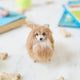 Small in size but big in personality, our alpaca Pomeranian Ornament brings the irresistible fluff and charm of this beloved breed to life. Carefully handcrafted by skilled artisans, this adorable ornament features a soft, full coat, bright eyes, and a sweet, alert expression that perfectly reflects the Pomeranian’s spirited nature.