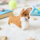 Bring a little wagging joy to your holiday decor with our irresistibly cute Felted Alpaca Corgi Ornament. Lovingly handmade by skilled artisans, this cheerful pup features the corgi’s signature golden coat, perky ears, and—of course—its famously adorable heart-shaped butt.