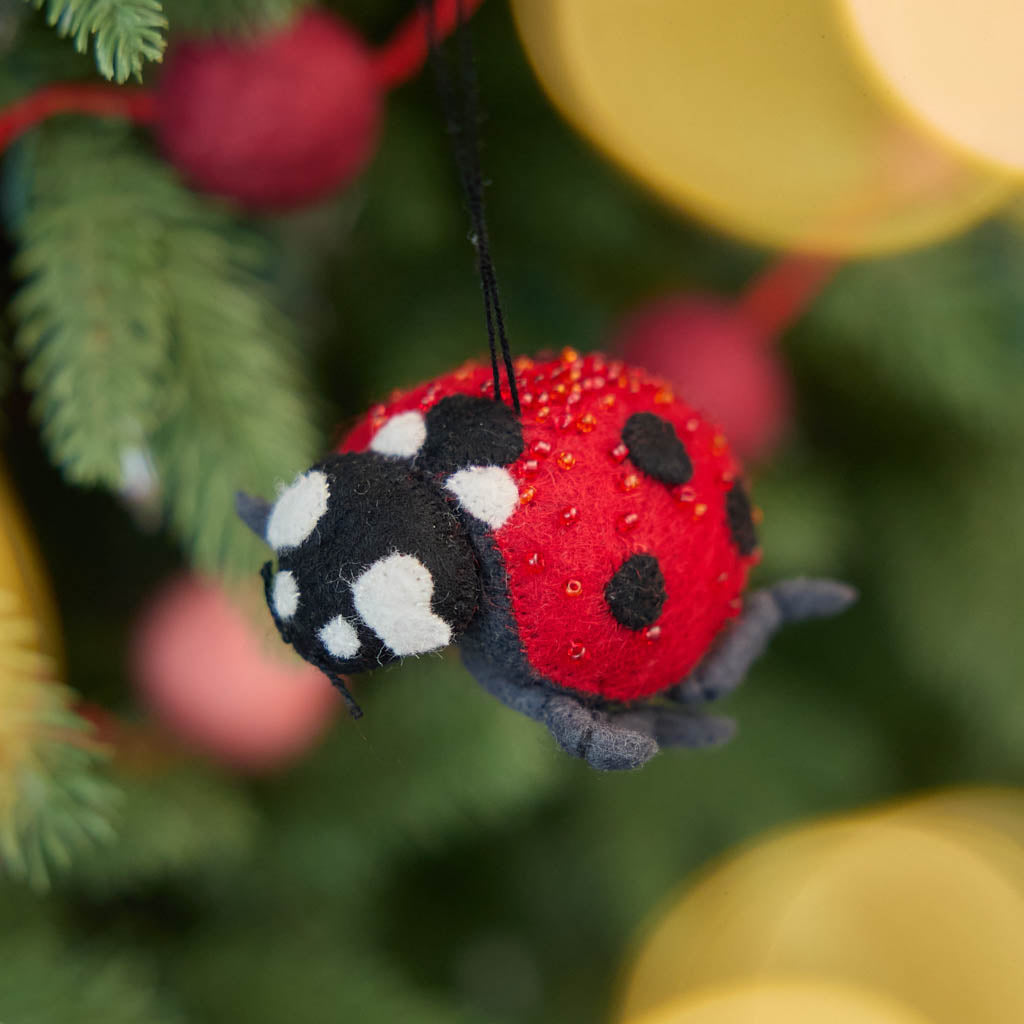 We’ve got a soft spot for this lucky little ladybug! Our Ladybug Ornament is lovingly hand needle-felted from natural wool, capturing the playful spirit of one of the garden’s most beloved insects.