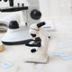 Celebrate curiosity, discovery, and the wonders of science with our handmade Felt Microscope Ornament — a charming keepsake perfect for scientists, biology lovers, teachers, researchers, lab technicians, and STEM enthusiasts.