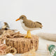 Bring a touch of the shoreline to your holiday décor with our delightful Spotted Sandpiper Ornament. Carefully handcrafted from eco-friendly wool felt, this charming bird captures the distinctive features of the beloved sandpiper, from its warm brown plumage and bright orange beak to its delicate spotted breast.