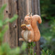Our Squirrel Tree Topper is a handmade wool felt Christmas decoration featuring a beautifully embroidered bushy tail and golden beaded acorn, designed to perch atop your holiday tree or stand on its own as whimsical woodland décor.