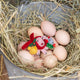 Our Festive Farm Animals Ornament brings together an adorable pink pig, a fluffy yellow chick, and a sweet gray bunny, all bundled up for the holidays. The pig wears a cozy red scarf with festive holly leaves, while the bunny sports a whimsical green holiday wreath with bright red bows. 