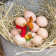 Our Brown Holiday Bunny with Chick Ornament is a sweet story of kindness and holiday cheer. Wrapped in a cozy crimson scarf adorned with felt holly and tiny red beads, this gentle brown bunny sits besides fluffy yellow chicks and a freshly hatched egg, capturing the magic of winter and the simple joy of being together.