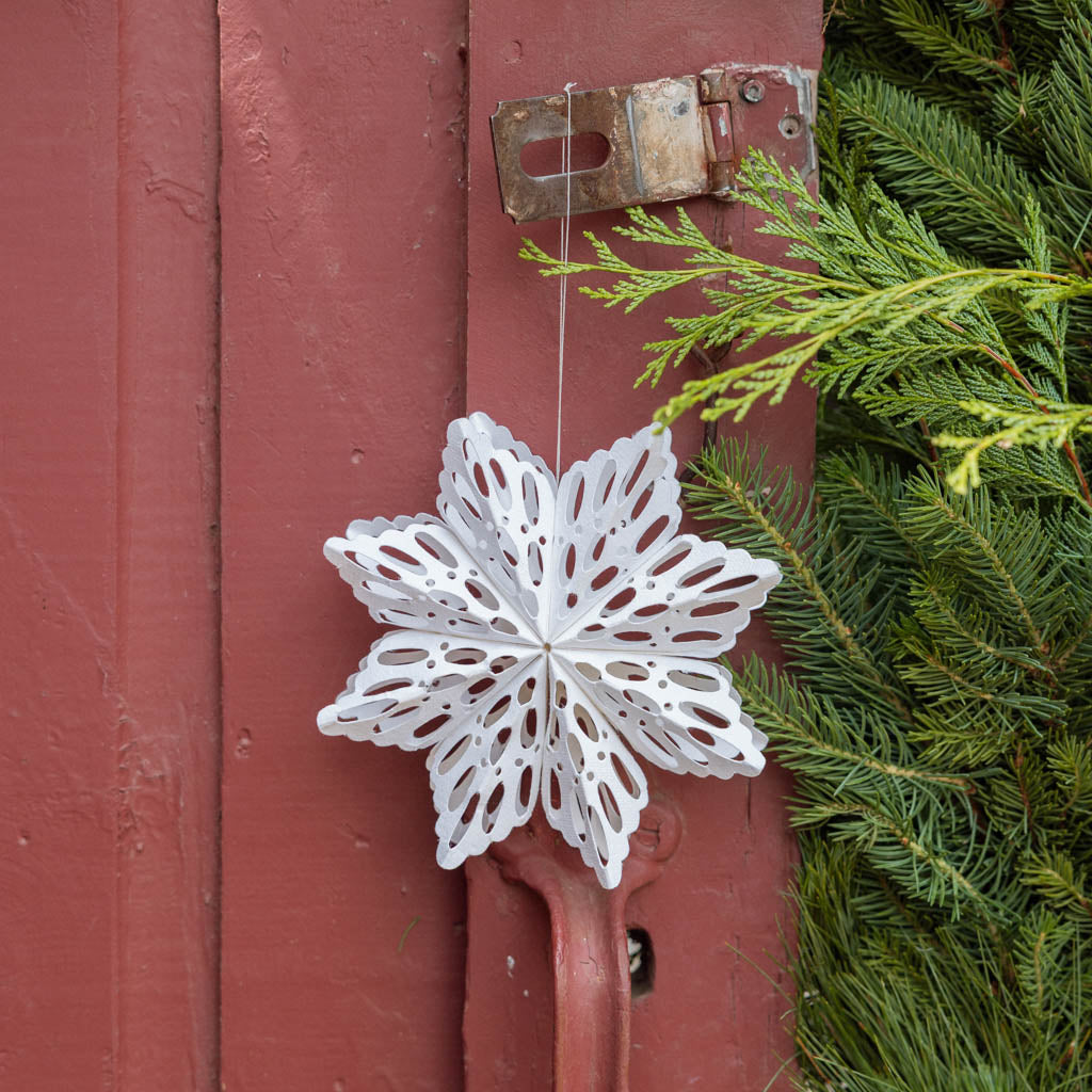 Paper Snowflakes - Set of 2