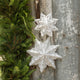 Paper Snowflakes - Set of 2