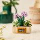 Herb Garden Ornament
