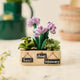 Herb Garden Ornament