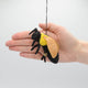 Decorative Eastern bumblebee ornament for nature lovers and pollinator awareness