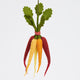 Eco-friendly wool carrot bunch ornament from locally sourced materials